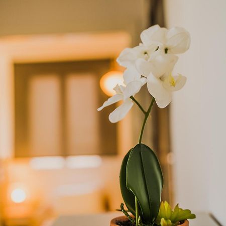 Green Apartment Ground Floor Feel Like Home Properties Saronida Ngoại thất bức ảnh